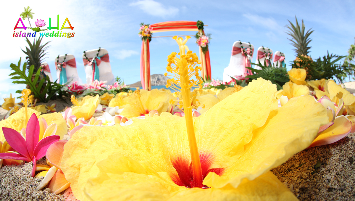 large yellow hibiscus for the aisle wedding flower